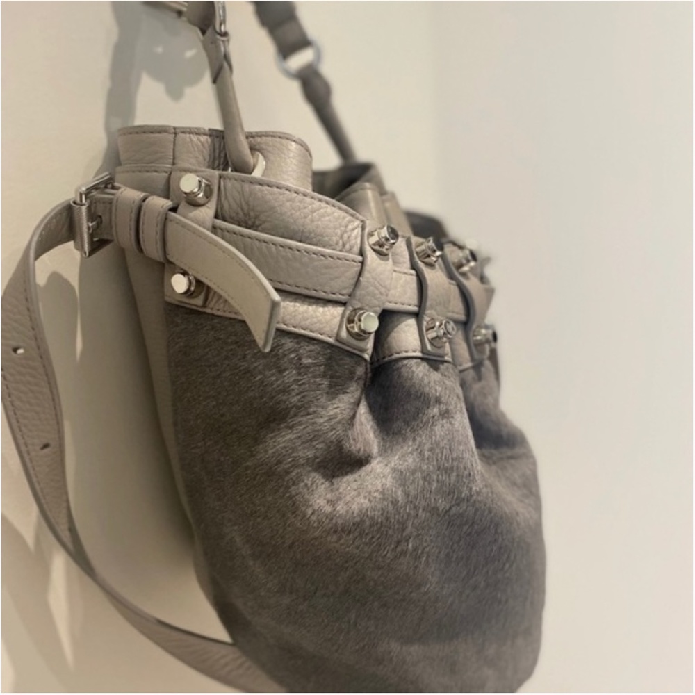 SOLD ✨ Alexander Wang 'DIEGO' Small CalfHair Panel Leather Bucket Bag - Picture 9 of 10